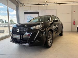 Peugeot 2008 - BlueHDi 110 S&S Active